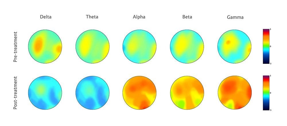 scientific report answers