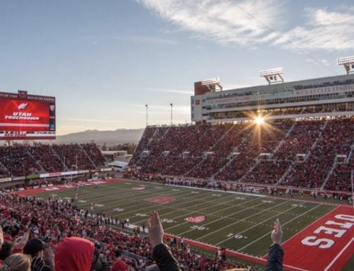 Vielight Bi-Annual Update